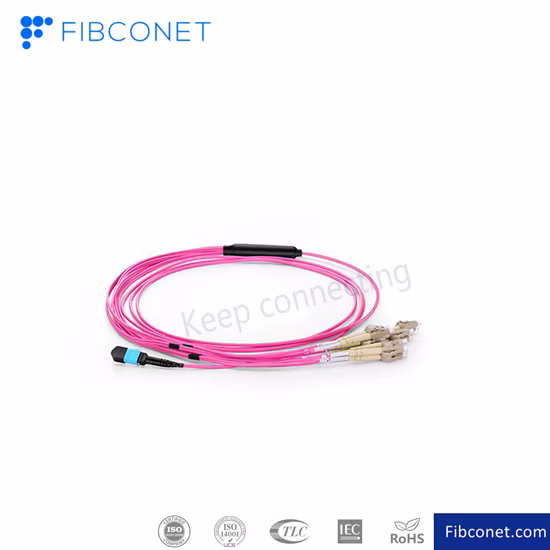 Multimode Fiber Optic/Optical Jumper Cable MPO/Mpt Patch Cable, Om3 Optic Cable Patch Cord