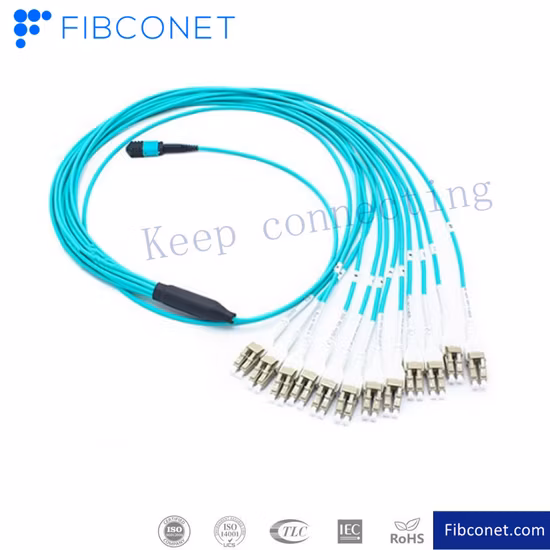 Multimode Fiber Optic/Optical Jumper Cable MPO/Mpt Patch Cable, Om3 Optic Cable Patch Cord