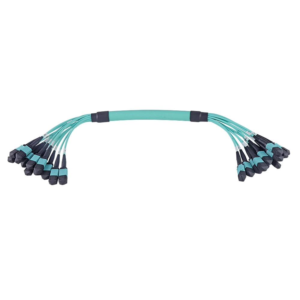 MPO/MTP-MPO/Mpt Patchcord mm/Sm Om2 (male/female)